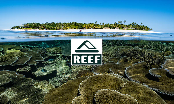 Reef-Gift Card